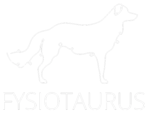 Fysiotaurus.
