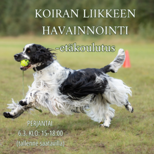 Koiran liikkeen havainnointi -koulutus 6.3. klo: 15-18