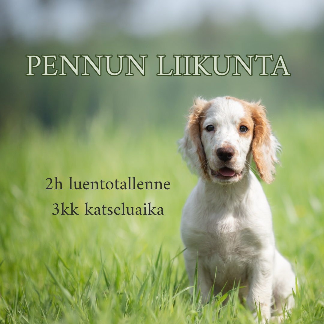 Pennun liikunta (Luentotallenne 2h)