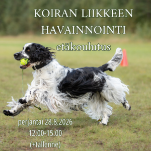 Koiran liikkeen havainnointi -koulutus (perjantaina 28.8. klo: 12-15)