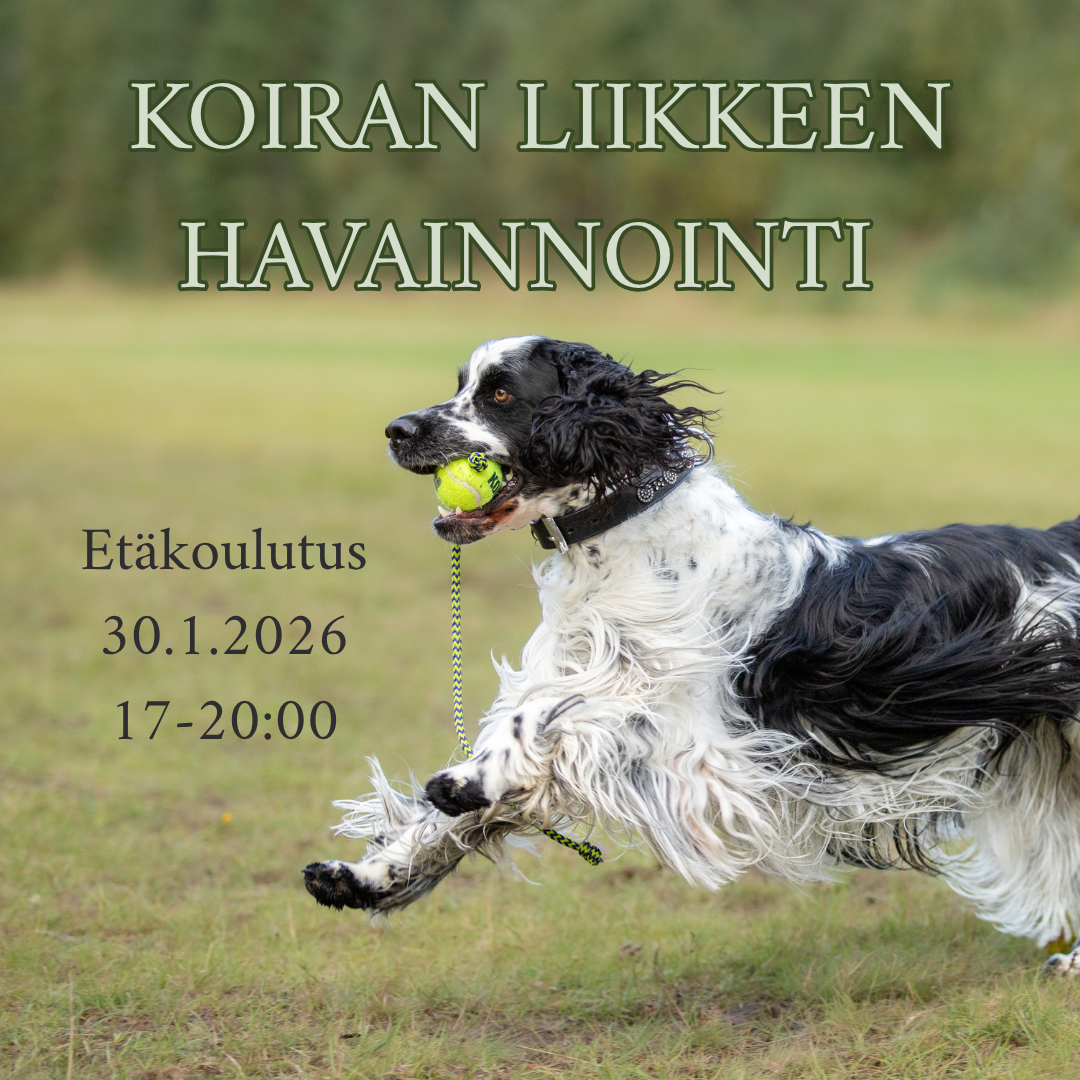Koiran liikkeen havainnointi -koulutus 30.1.2026 17-20:00