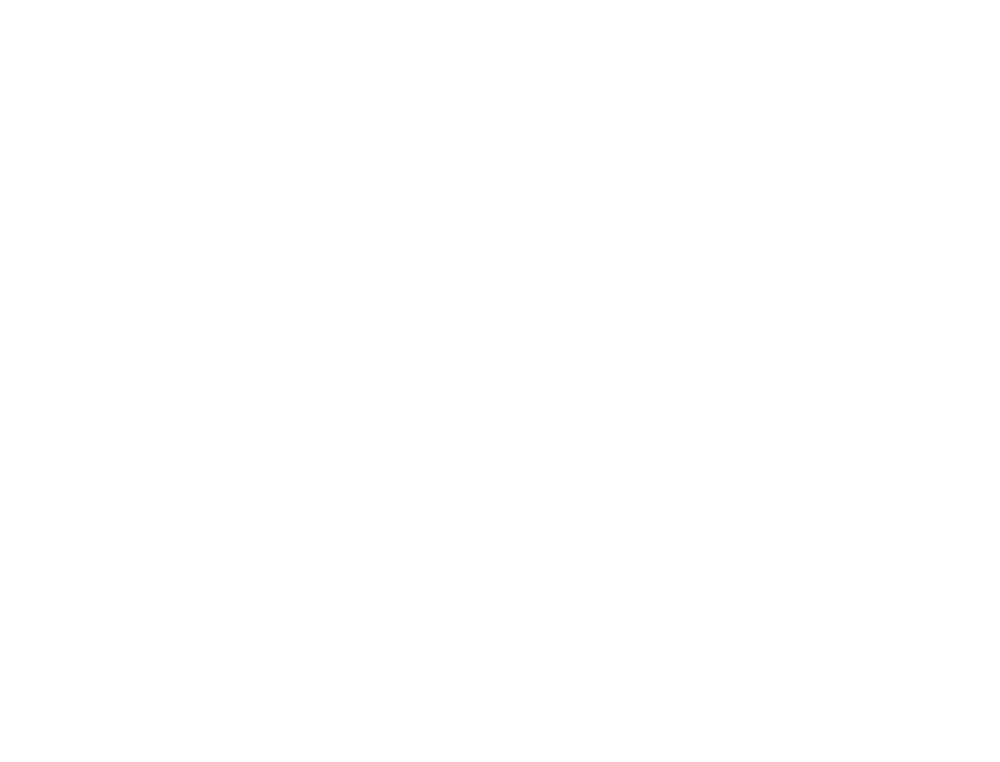 Fysiotaurus.