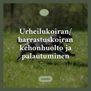 Urheilukoiran/harrastuskoiran kehonhuolto ja palautuminen - luentotallenne (1h).