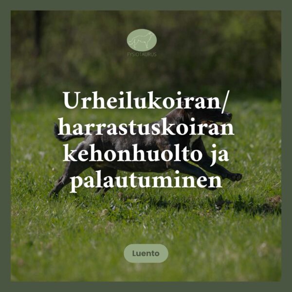 Urheilukoiran/harrastuskoiran kehonhuolto ja palautuminen - luentotallenne (1h).