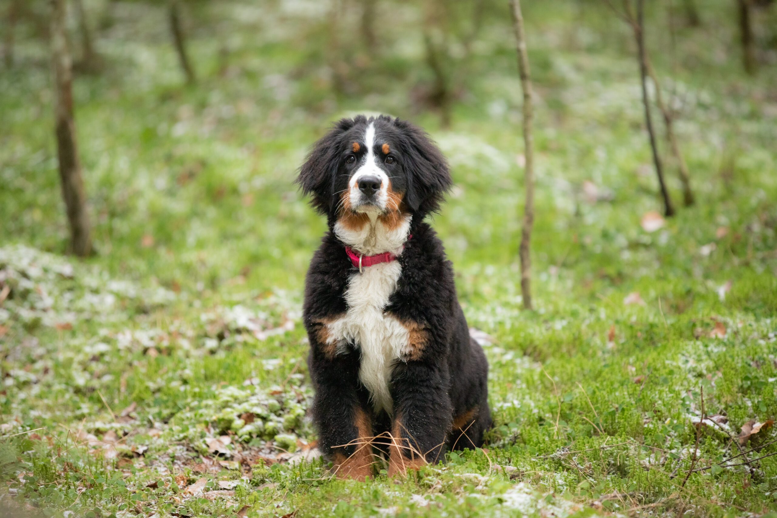 Etäjumppatunti 21.12. klo: 20:00 PENNUT JA JUNNUT