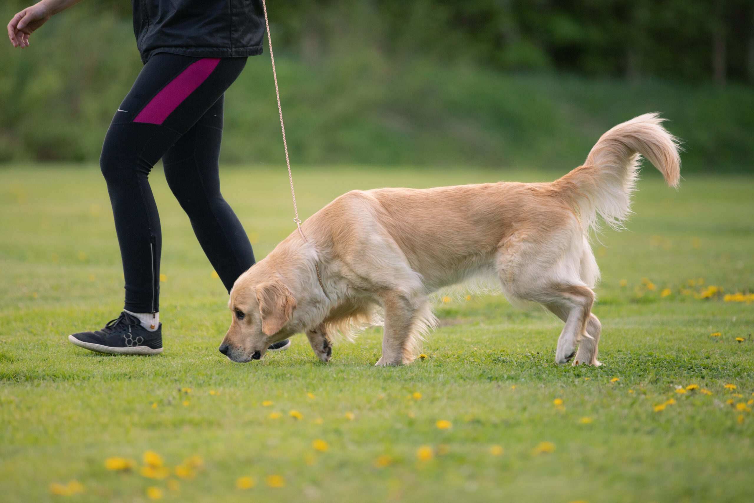 Etäjumppatunti 29.3. klo: 20:00 (SELKÄ/KESKIVARTALO)