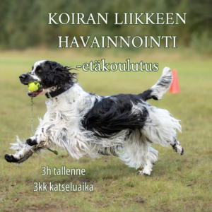 Koiran liikkeen havainnointi -koulutus (tallenne 3h)
