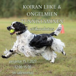 Koiran liike & ongelmien tunnistaminen -etäkoulutus 15.1.2027 12-15:00